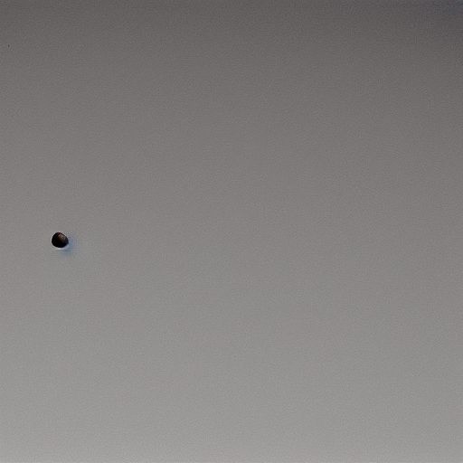 Wolfgang Tillmans